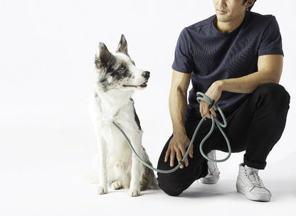 Fable - Magic Dog Leash ®