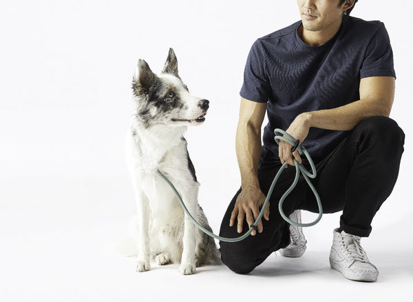 Fable - Magic Dog Leash ®