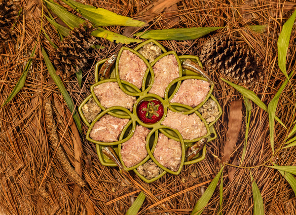 Raw Instincts - Raw Turkey Meal Blend for Cats & Dogs (Prey Model Raw)