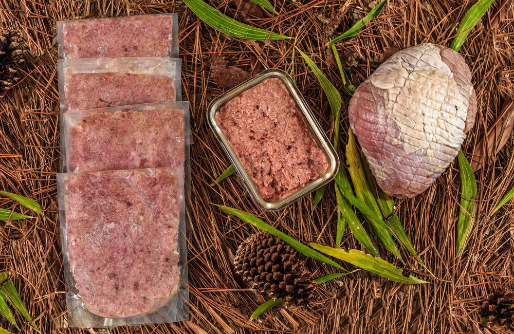 Raw Instincts - Raw Turkey Meal Blend for Cats & Dogs (Prey Model Raw)