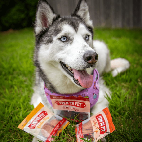 Farm To Pet - Chicken, Turkey, & Beef Snack Pack Trio