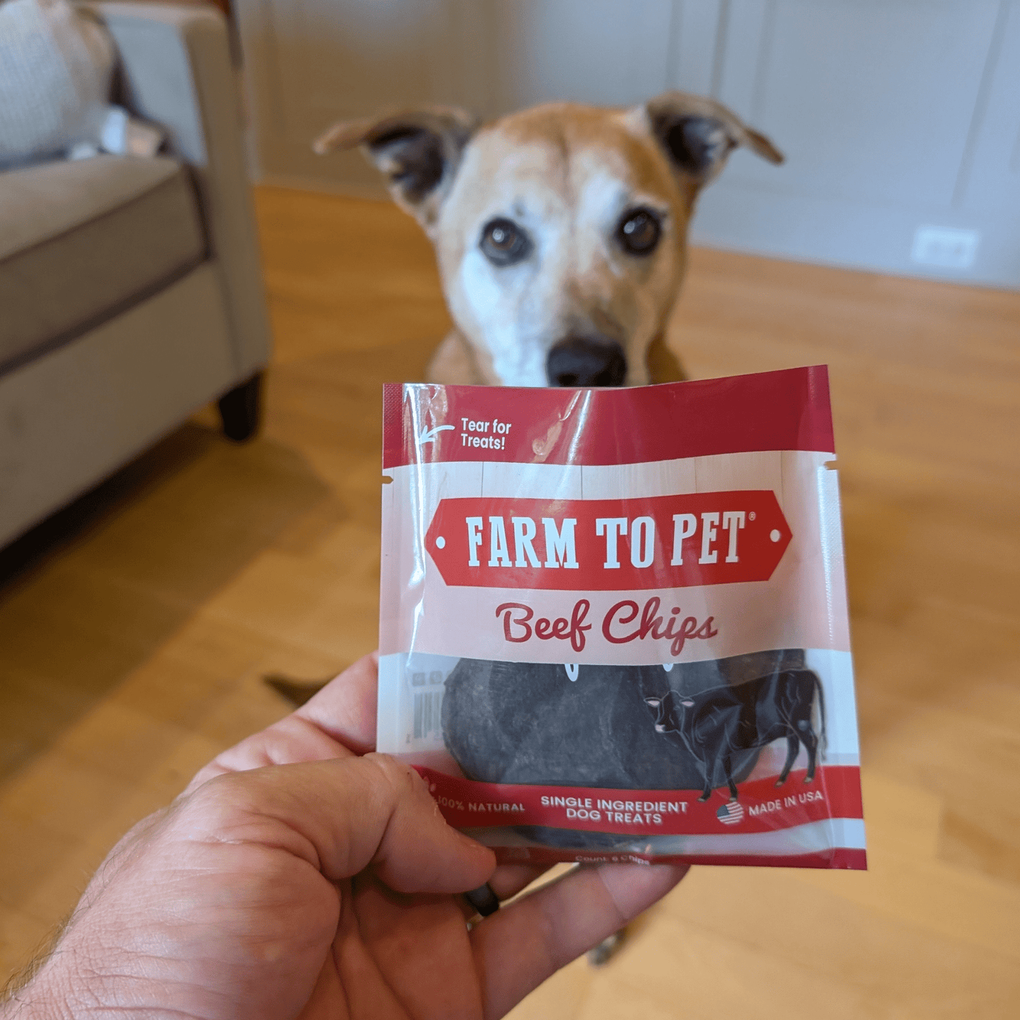 Farm To Pet - Beef Chips Snack Pack Bundles | Dog Treats for Training & Travel