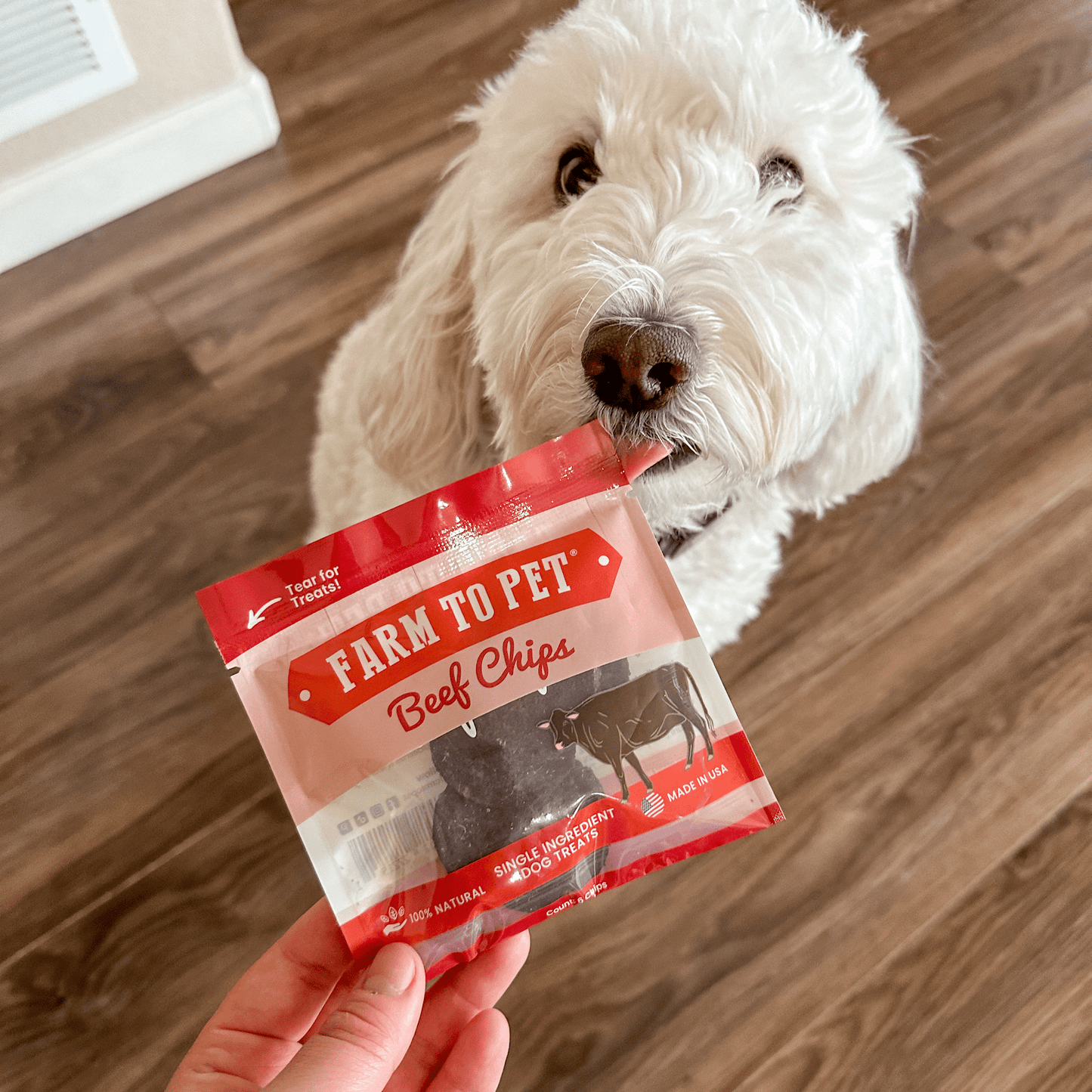 Farm To Pet - Beef Chips Snack Pack Bundles | Dog Treats for Training & Travel