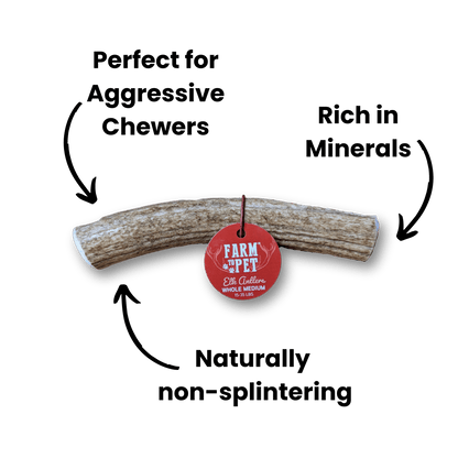 Farm To Pet - Whole Elk Antlers for Dogs | All-Natural Antler Dog Chews