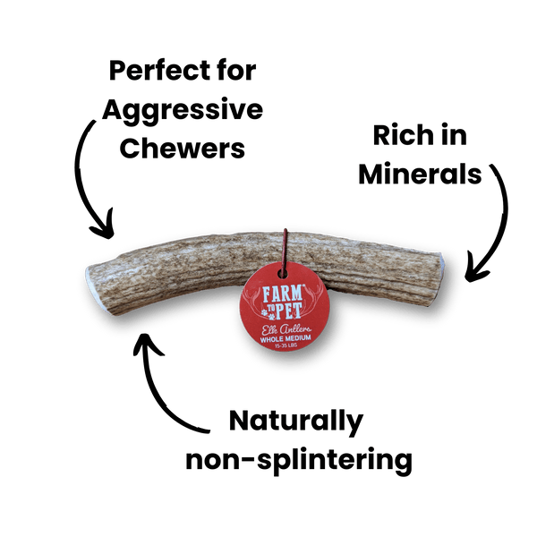 Farm To Pet - Whole Elk Antlers for Dogs | All-Natural Antler Dog Chews