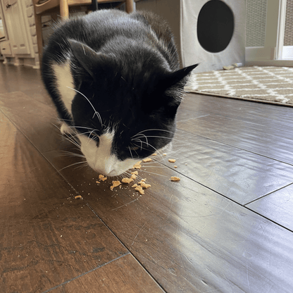 Farm To Pet - Turkey Crumbles for Cats | 100% Protein Cat Treats