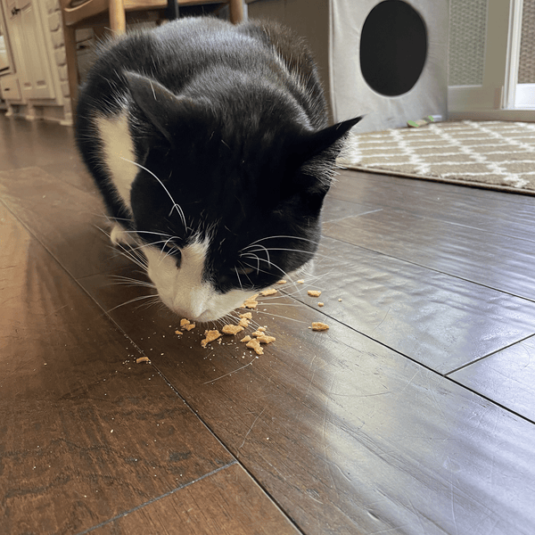 Farm To Pet - Turkey Crumbles for Cats | 100% Protein Cat Treats