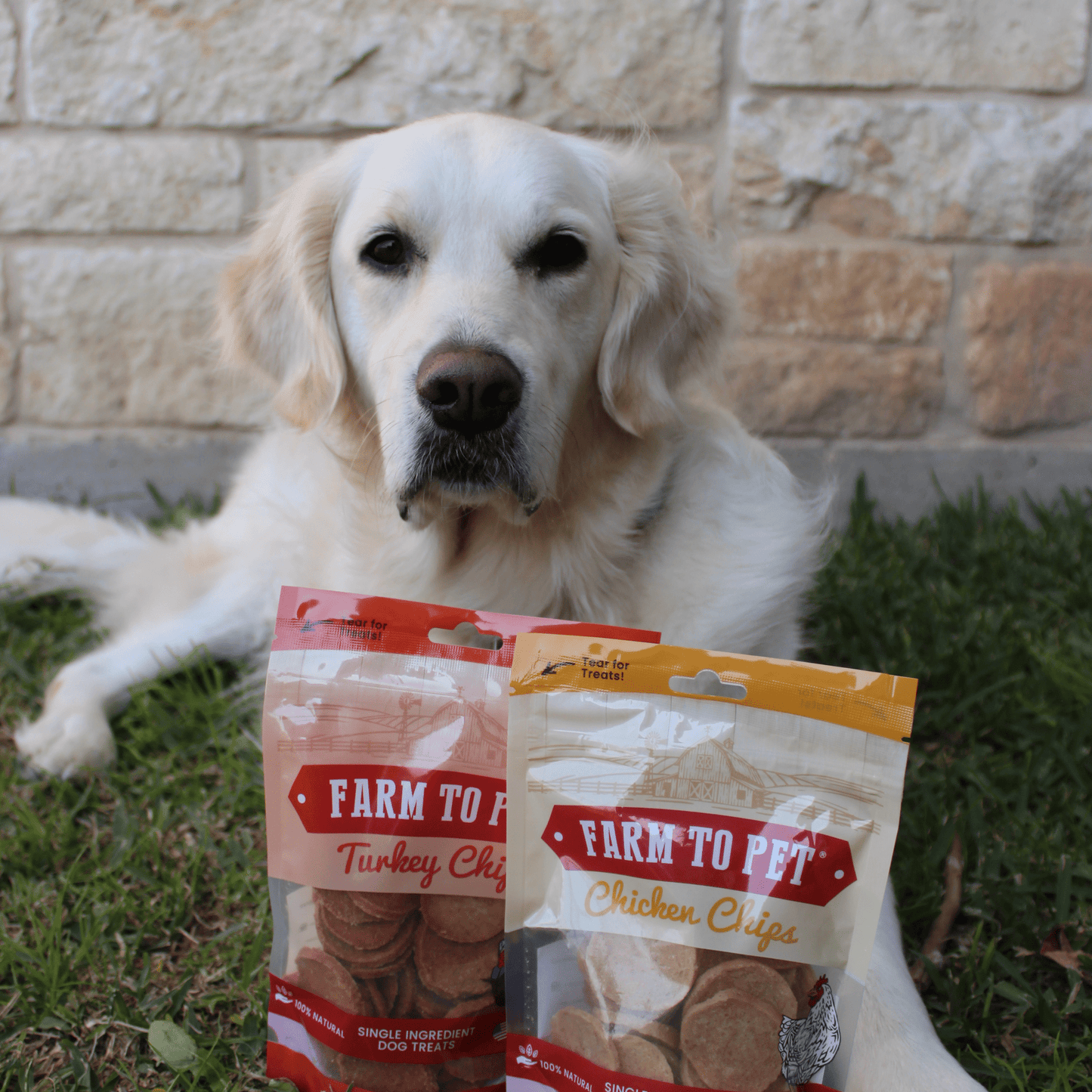 Farm To Pet - Turkey & Chicken Chip Dog Treat Duo | Single-Ingredient Poultry Treats for Dogs