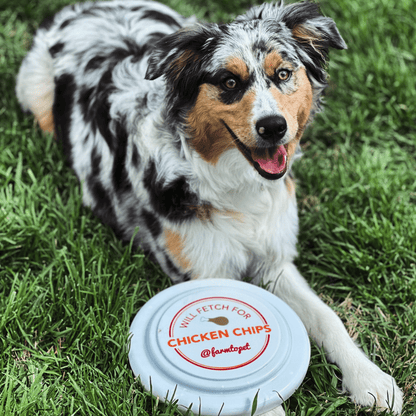 Farm To Pet - Will Fetch for Chicken Chips Dog Frisbee | Fun Toy for Dogs and Humans