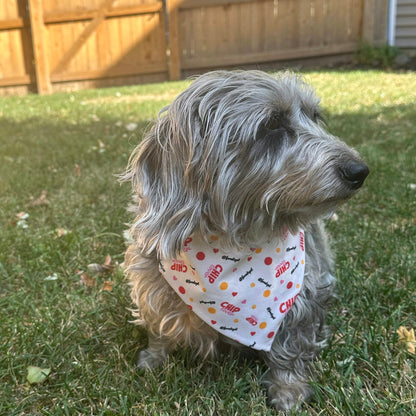Farm To Pet - Tie-on Dog Bandana | Adjustable String-tie Bandana for Dogs and Cats