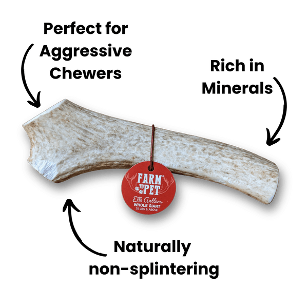 Farm To Pet - Whole Elk Antlers for Dogs | All-Natural Antler Dog Chews