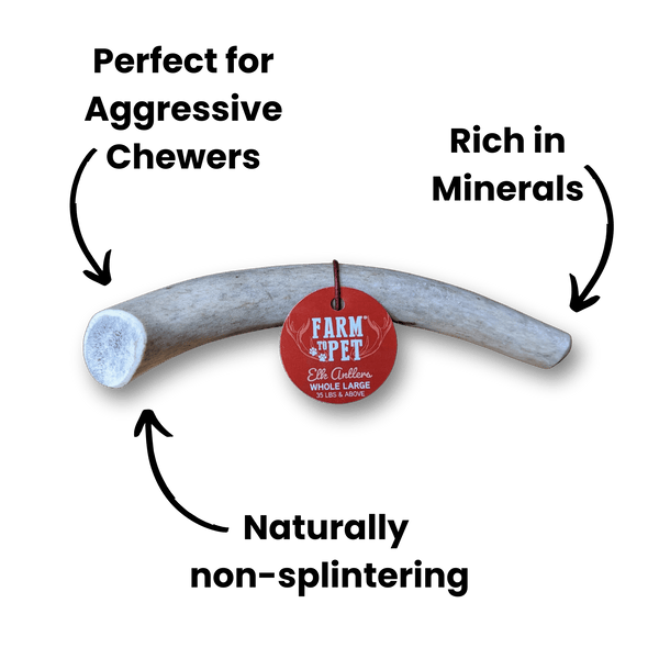 Farm To Pet - Whole Elk Antlers for Dogs | All-Natural Antler Dog Chews