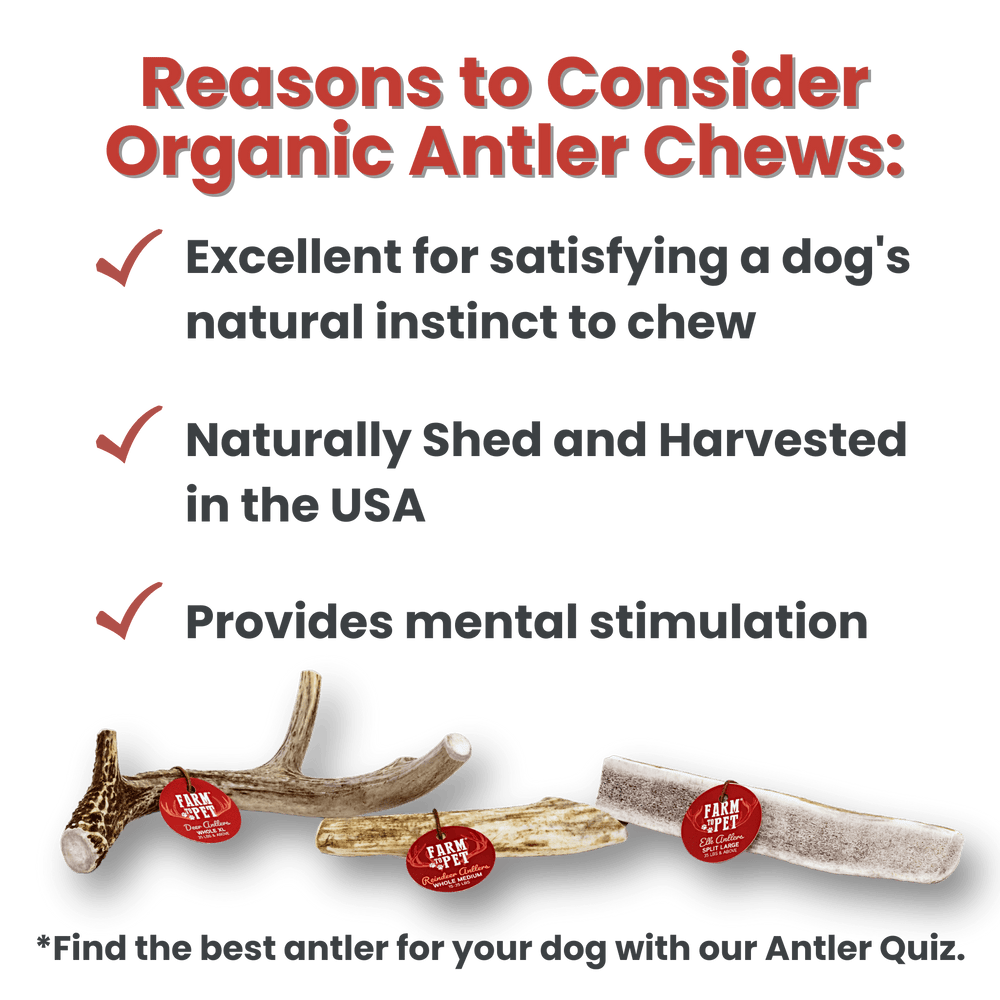 Farm To Pet - Whole Elk Antlers for Dogs | All-Natural Antler Dog Chews
