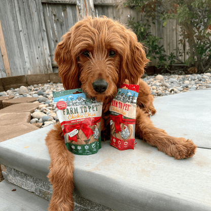 Farm To Pet - Holiday Chips for Dogs