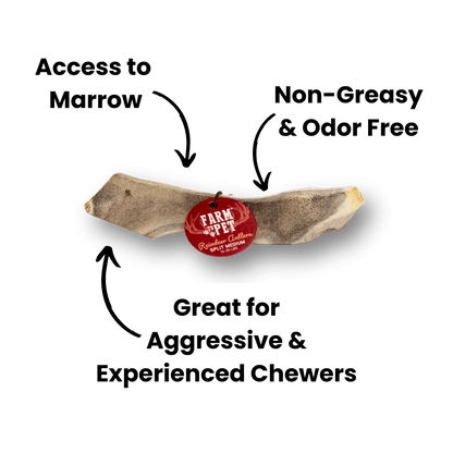 Farm To Pet - Reindeer Antlers for Dogs | Antler Dog Chews for Aggressive Chewers