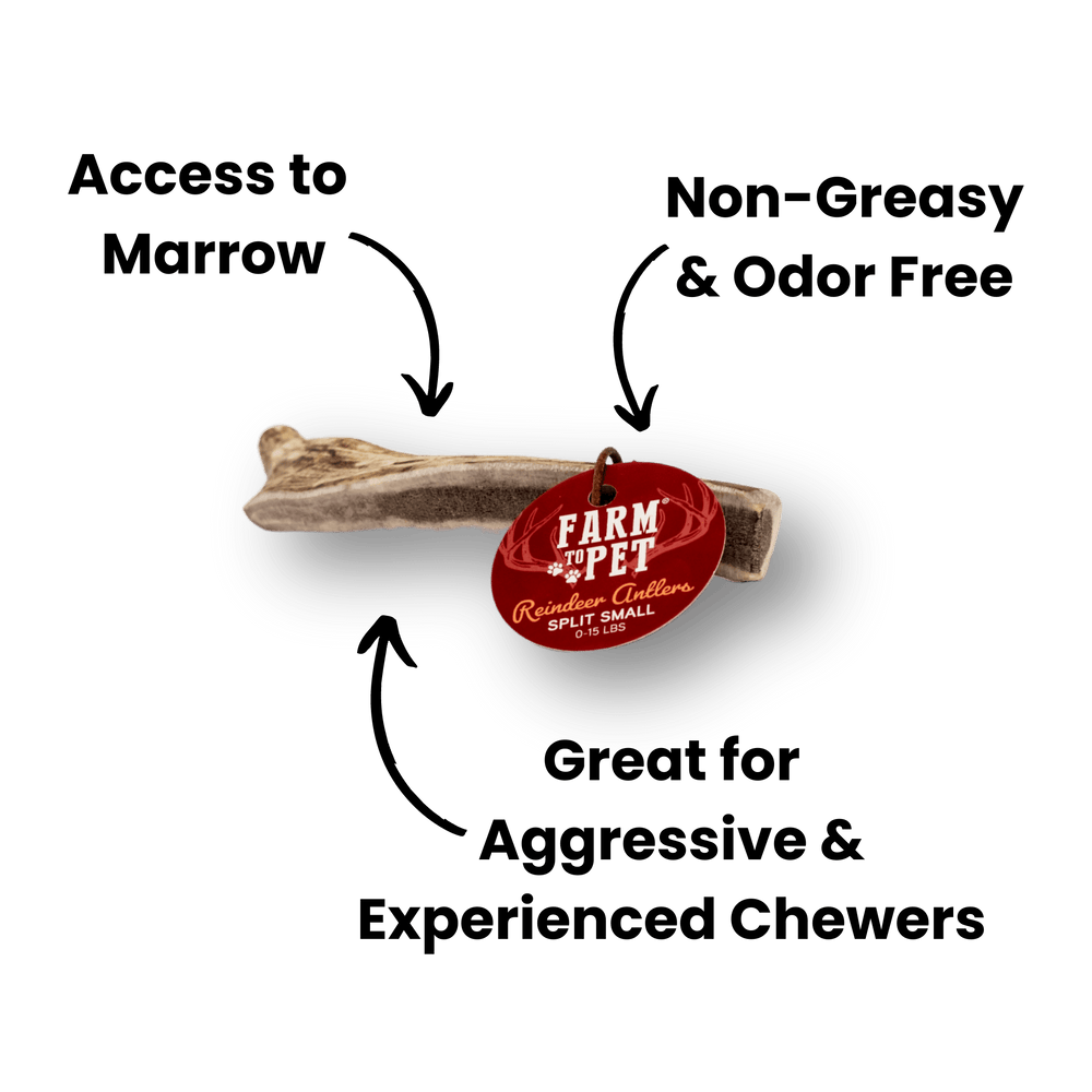 Farm To Pet - Reindeer Antlers for Dogs | Antler Dog Chews for Aggressive Chewers