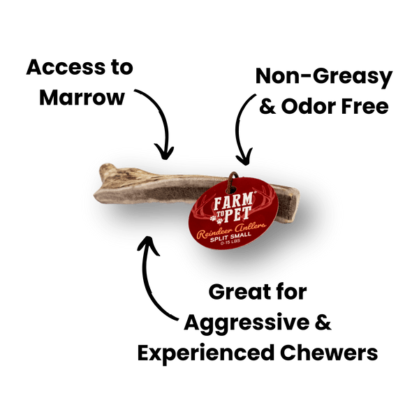 Farm To Pet - Reindeer Antlers for Dogs | Antler Dog Chews for Aggressive Chewers