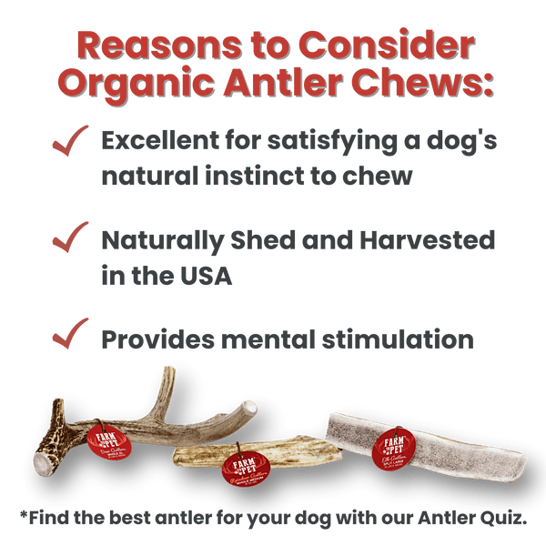 Farm To Pet - Reindeer Antlers for Dogs | Antler Dog Chews for Aggressive Chewers