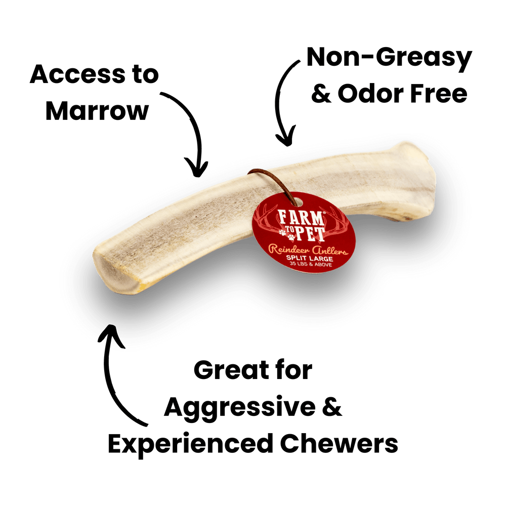 Farm To Pet - Reindeer Antlers for Dogs | Antler Dog Chews for Aggressive Chewers
