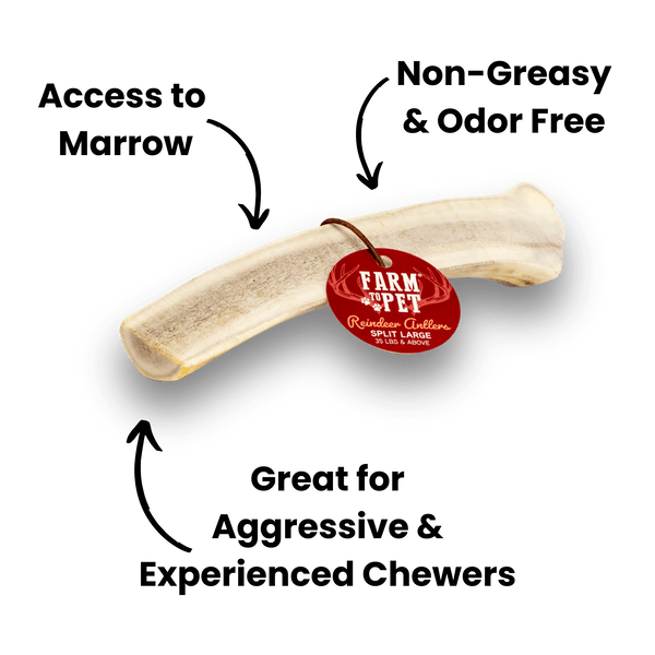 Farm To Pet - Reindeer Antlers for Dogs | Antler Dog Chews for Aggressive Chewers