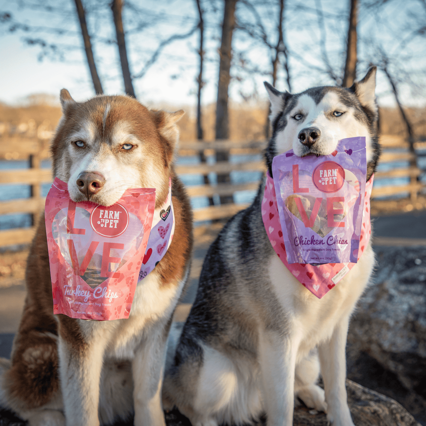 Farm To Pet - Puppy Love Dog Treat | Poultry Treat Variety Pack