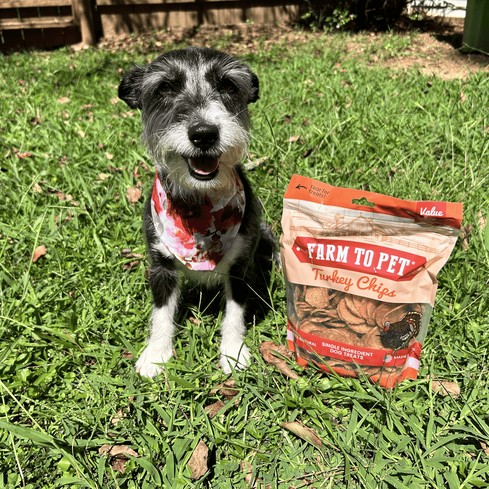 Farm To Pet - Turkey Chips for Dogs | All-Natural Single-Ingredient Healthy Dog Treats