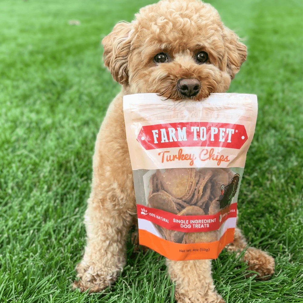 Farm To Pet - Turkey Chips for Dogs | All-Natural Single-Ingredient Healthy Dog Treats