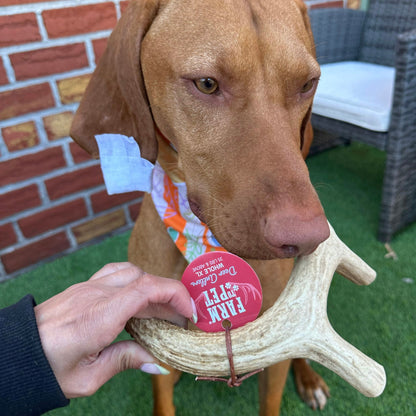 Farm To Pet - Deer Antler Dog Chews | Organic Antler Chews