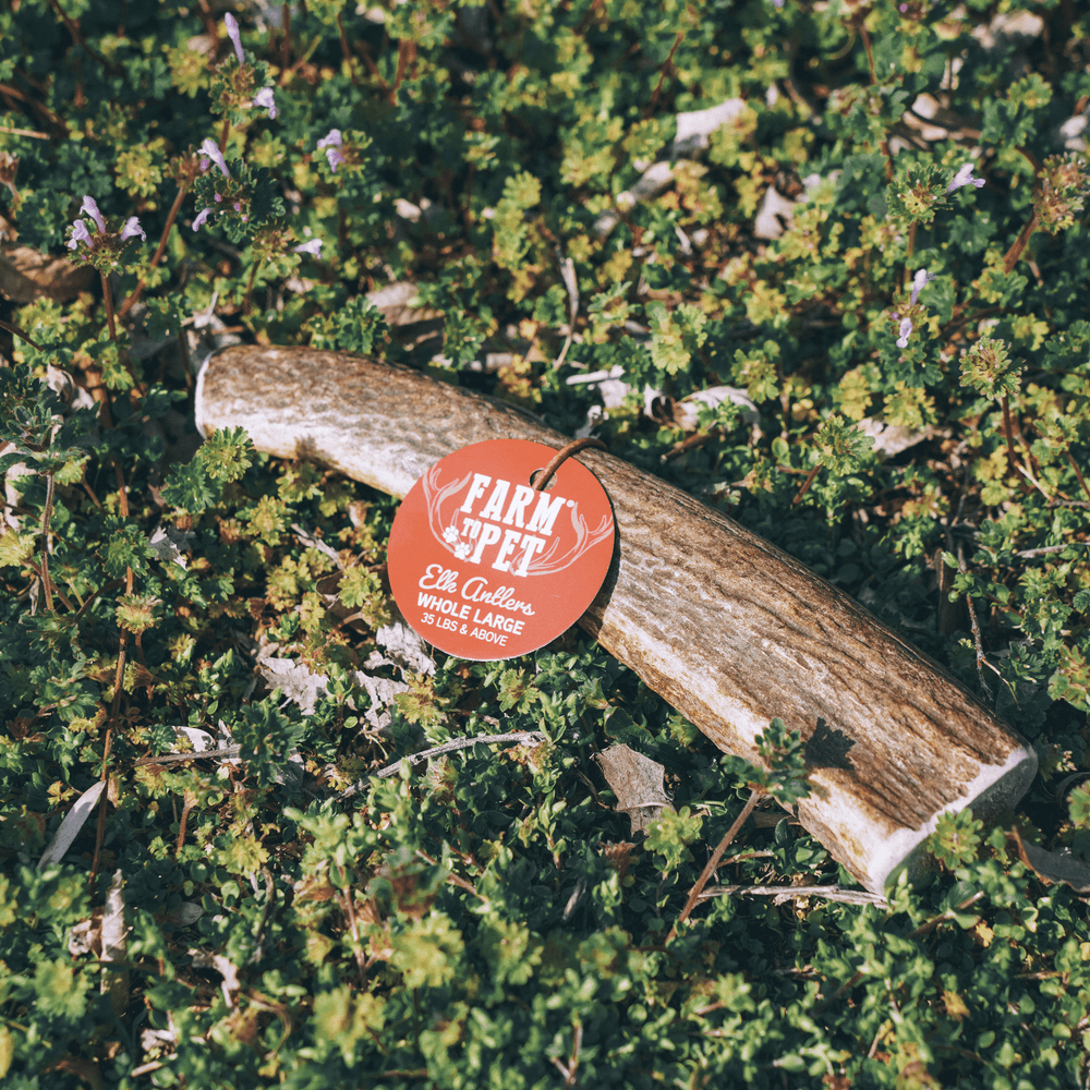 Farm To Pet - Whole Elk Antlers for Dogs | All-Natural Antler Dog Chews