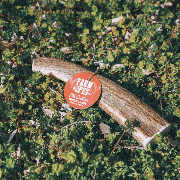 Farm To Pet - Whole Elk Antlers for Dogs | All-Natural Antler Dog Chews