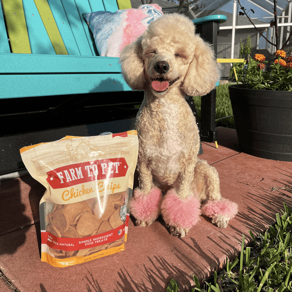 Farm To Pet - Chicken Chips for Dogs | All-Natural Single-Ingredient Dog Treats