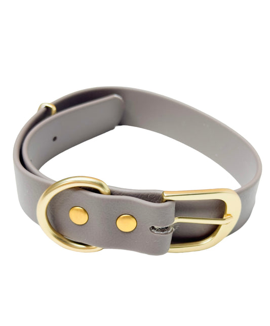 Silver/Gold Dog Collar