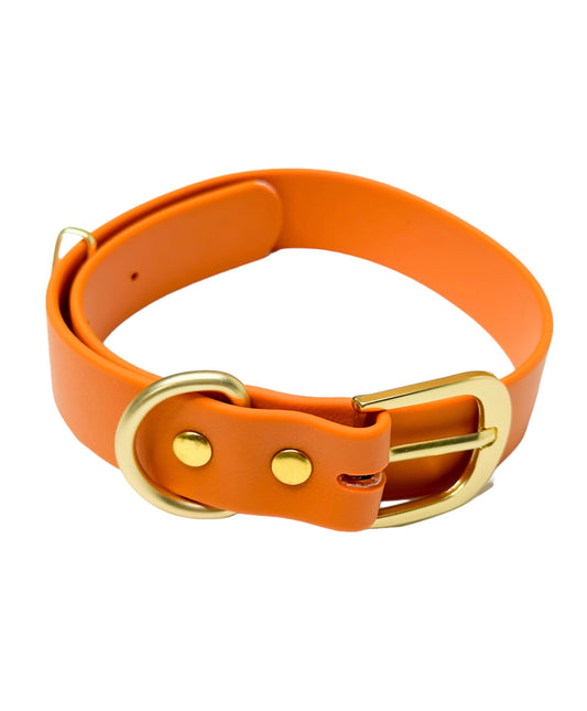 Orange/Gold Dog Collar