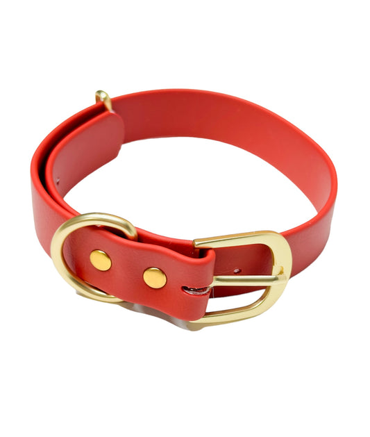 Red/Gold Dog Collar