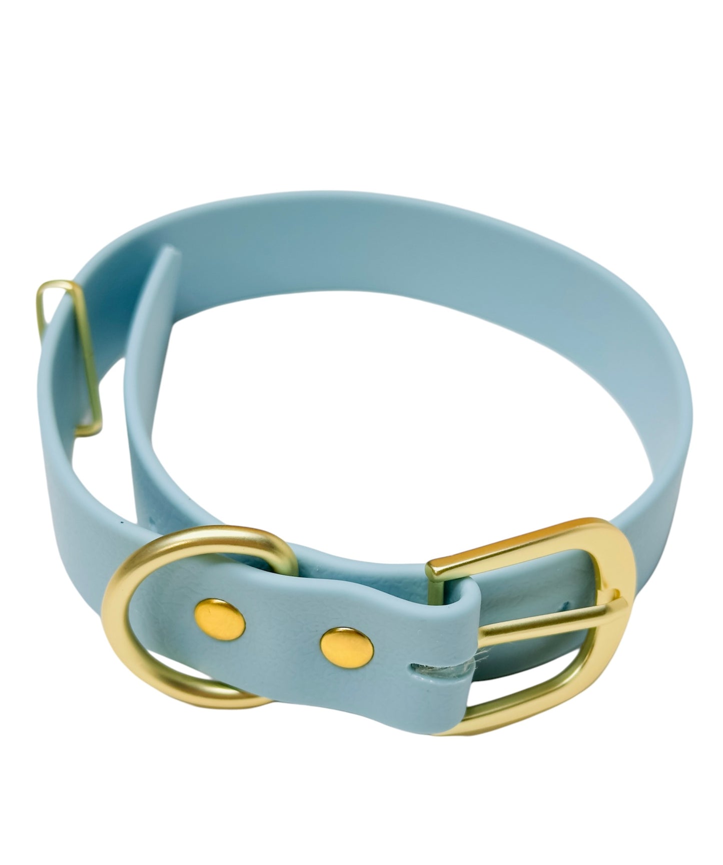 Pastel Blue/Gold Dog Collar