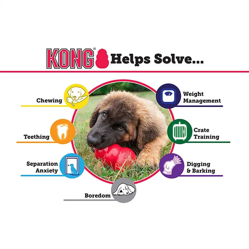 KONG Puppy Dog Toy – Teething Rubber Chew for Puppies