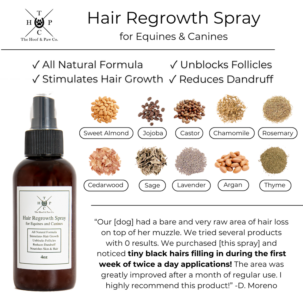 The Hoof & Paw Co. - All Natural Hair Regrowth Spray - for Dogs & Horses (4oz or 8oz)