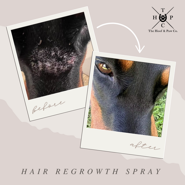 The Hoof & Paw Co. - All Natural Hair Regrowth Spray - for Dogs & Horses (4oz or 8oz)