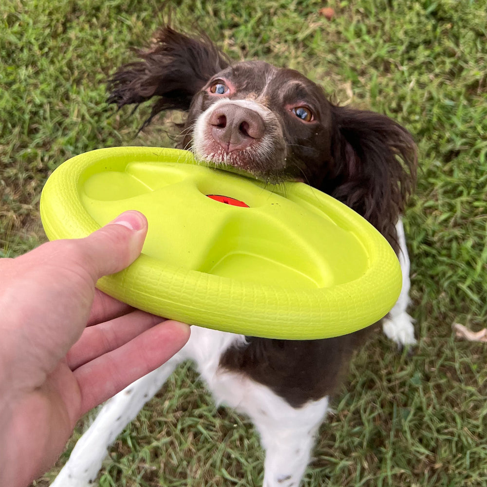 Alpha Pak - Harley Flyer Frisbee