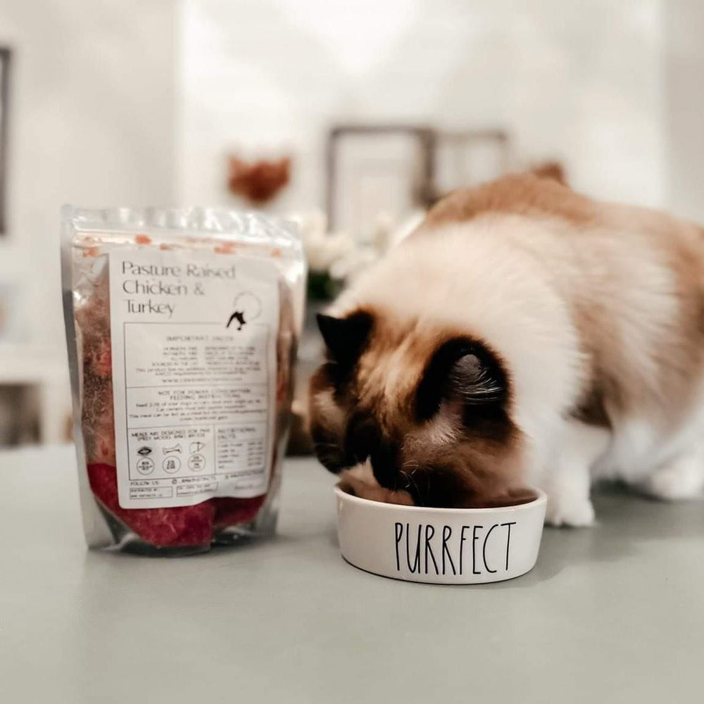 Raw Instincts - Raw Chicken & Turkey Meal Blend for Cats & Dogs (Prey Model Raw)