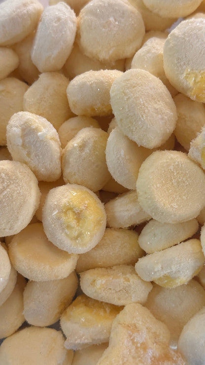 Bear's Bites Single Ingredient Freeze Dried Quail Egg Yolks