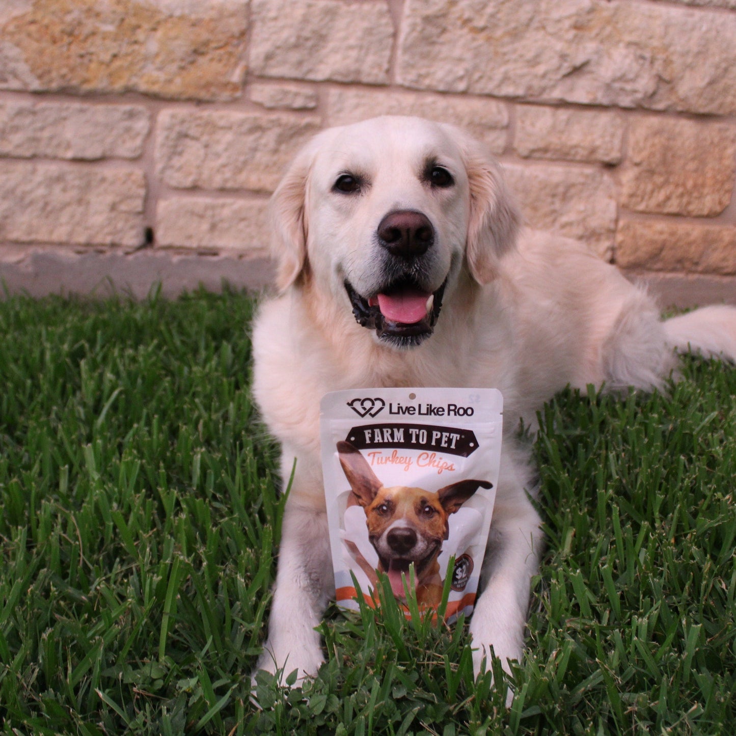 Farm To Pet - Live Like Roo Turkey Chips for Dogs | Dog Treats That Give Back