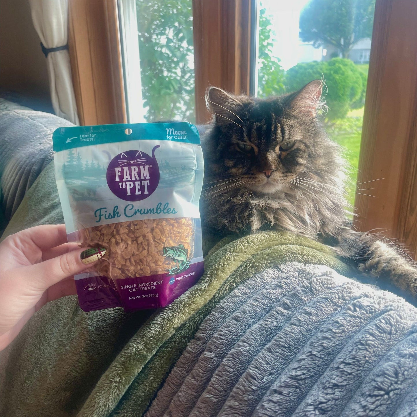 Fish Crumbles for Cats | 100% Protein Cat Treats