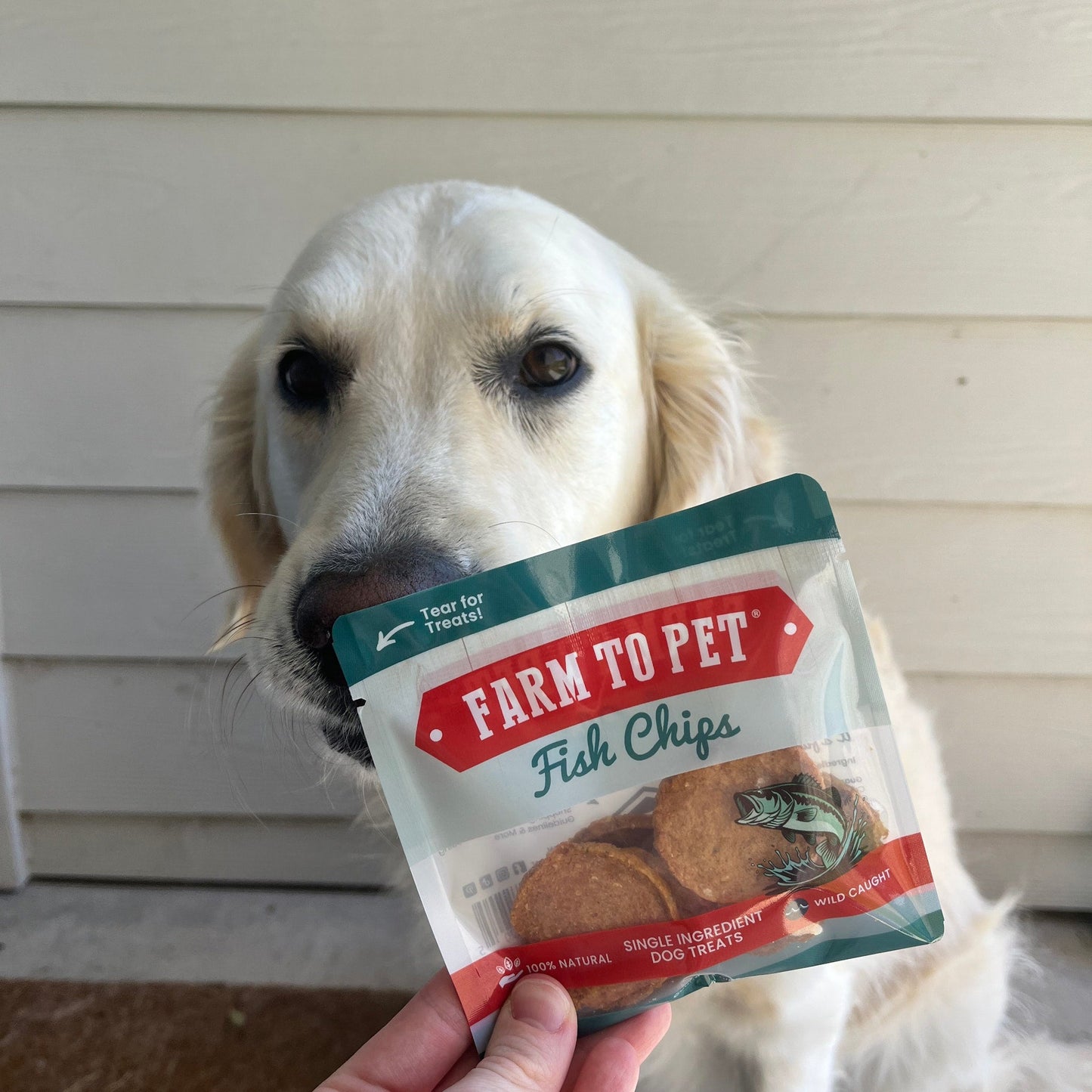 Farm To Pet - Fish Chips Snack Pack Bundles | Dog Treats for Training & Travel