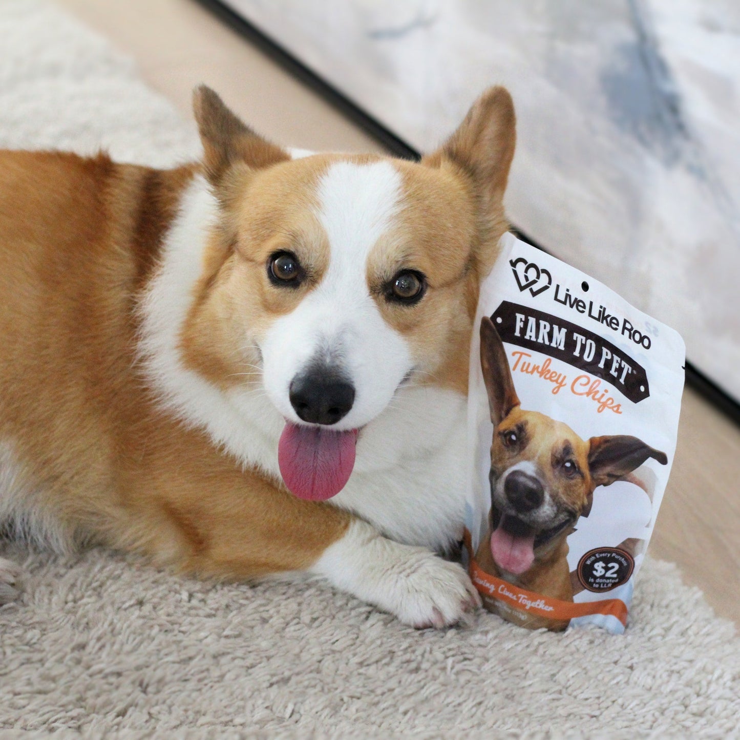 Farm To Pet - Live Like Roo Turkey Chips for Dogs | Dog Treats That Give Back