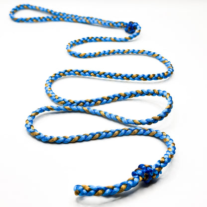 Midnight Gold Conformation Dog Show Leads  length 