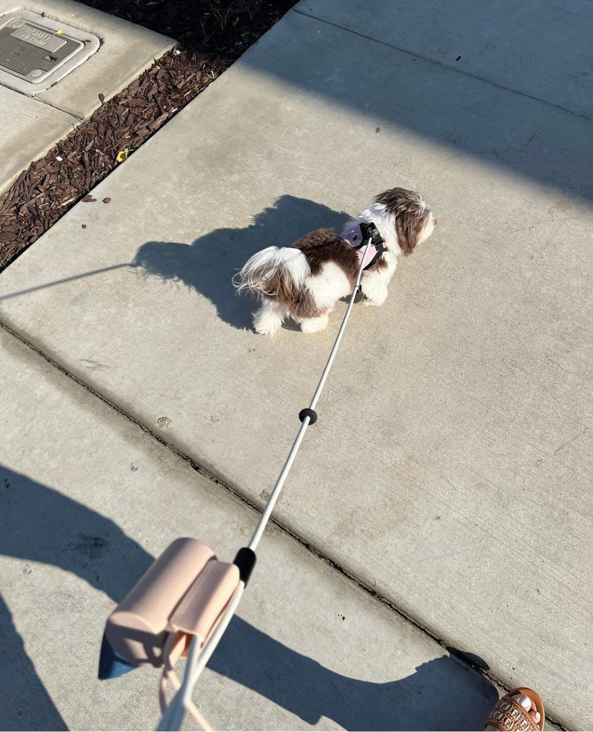 Fable - Waste Poop Bag Holder