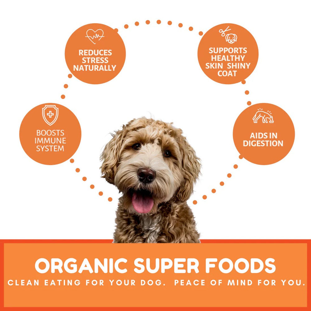 Dog Mamma's Organic Pumpkin Snaps Recipe Oven Baked Dog Treats (6oz)
