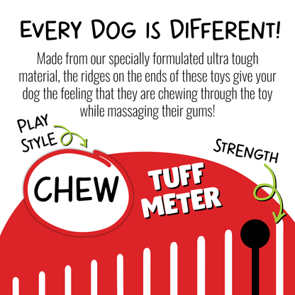 Jolly Pets - Jolly Chew Squarble
