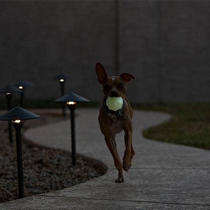 Jolly Pets - Jolly Jumper